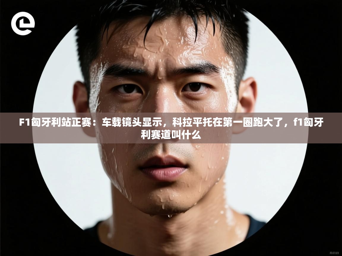 F1匈牙利站正赛：车载镜头显示，科拉平托在第一圈跑大了，f1匈牙利赛道叫什么  第2张