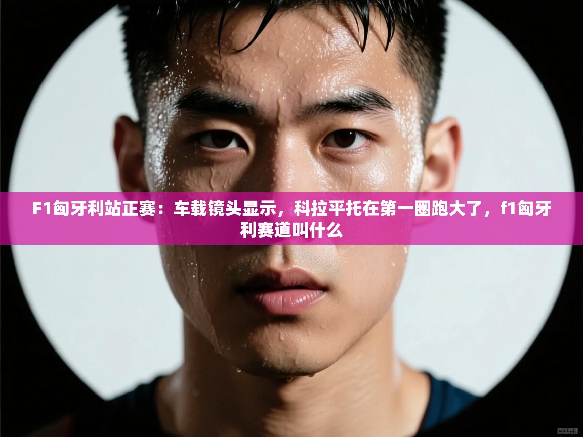 F1匈牙利站正赛：车载镜头显示，科拉平托在第一圈跑大了，f1匈牙利赛道叫什么  第1张