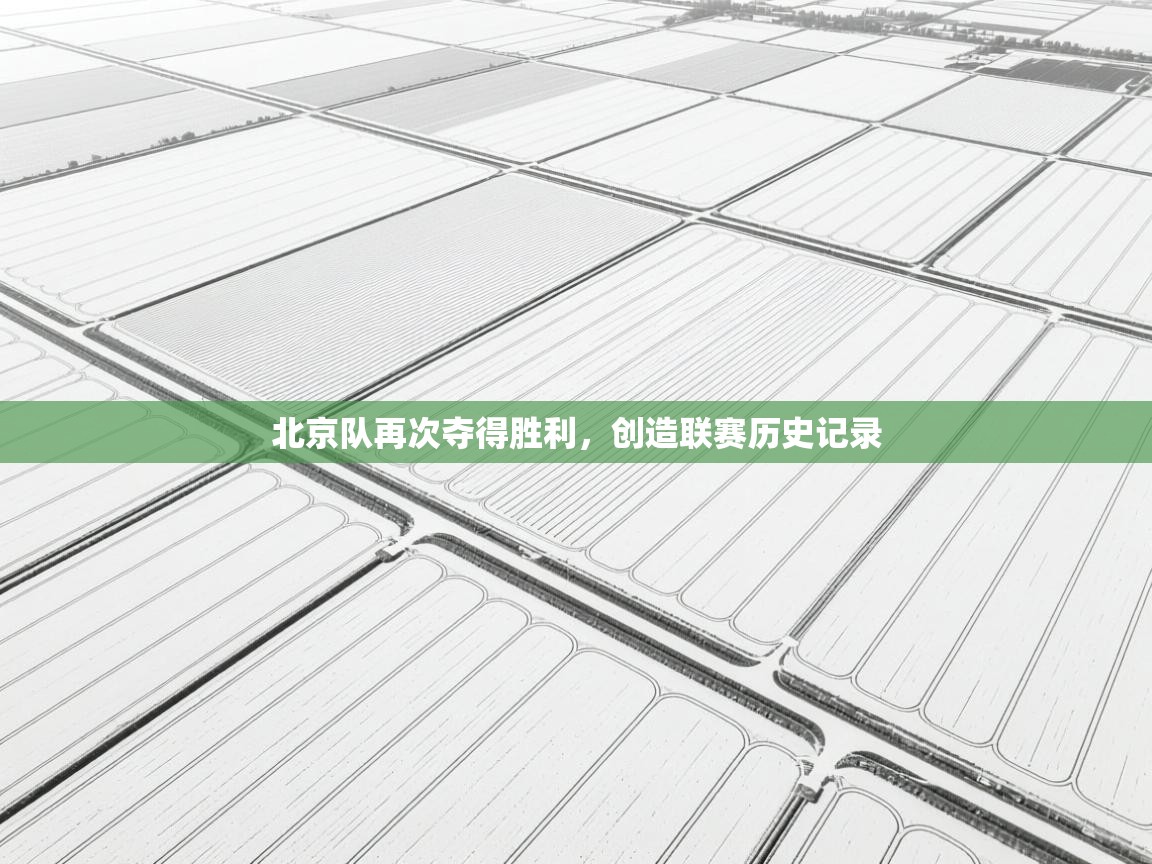 北京队再次夺得胜利，创造联赛历史记录  第1张