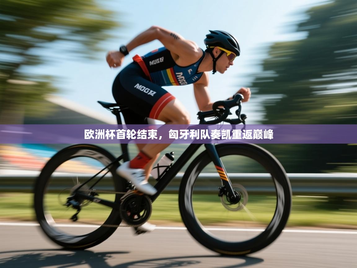 欧洲杯首轮结束,匈牙利队奏凯重返巅峰 第2张